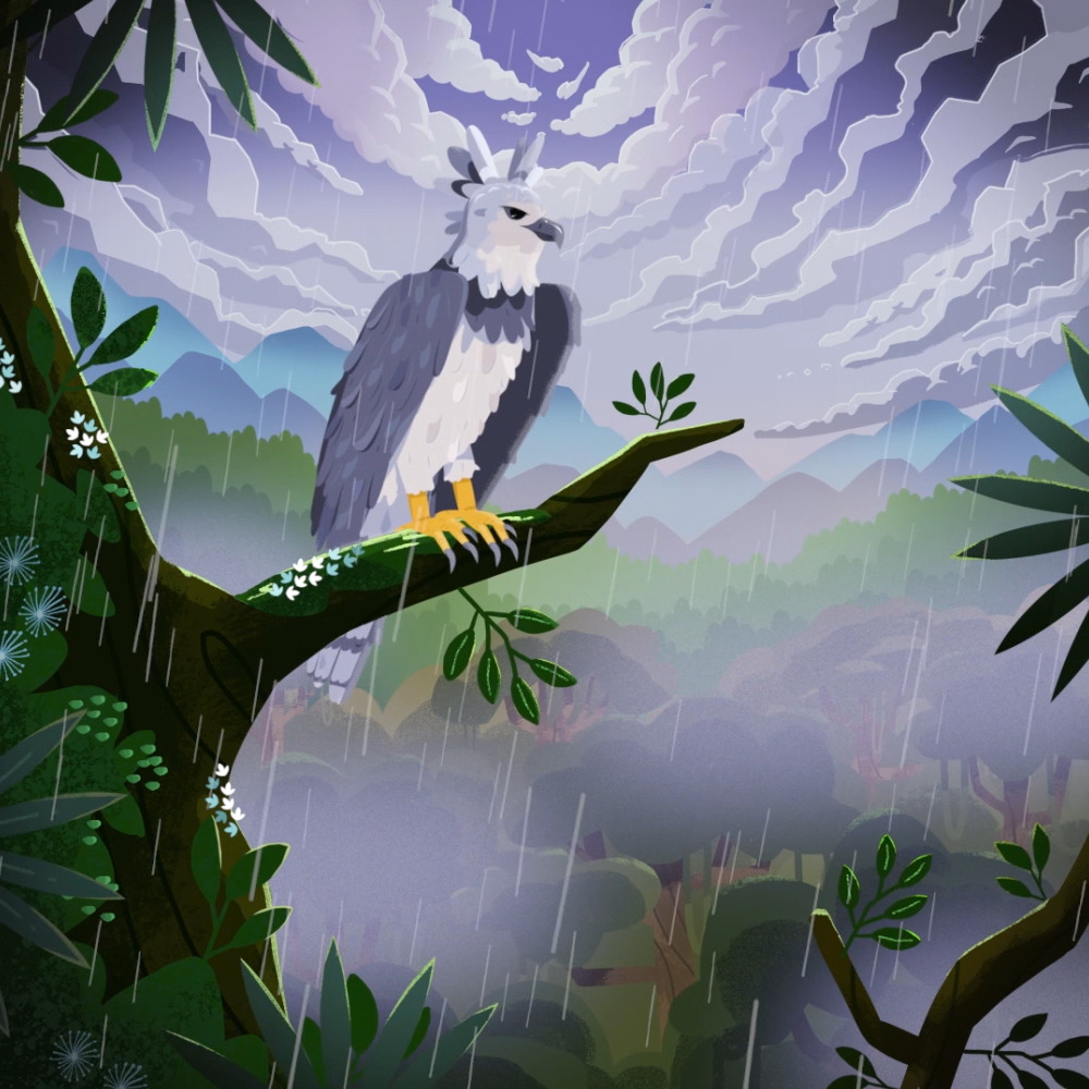 Reference still of the Harpy Eagle sequence