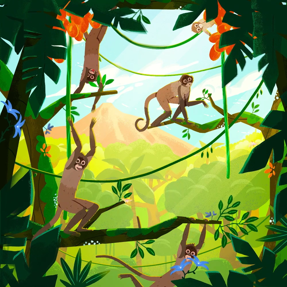 Reference still of the Monkey sequence